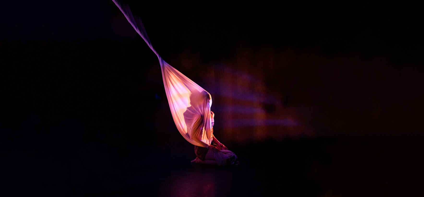 First Light: Winter Preview Performance image