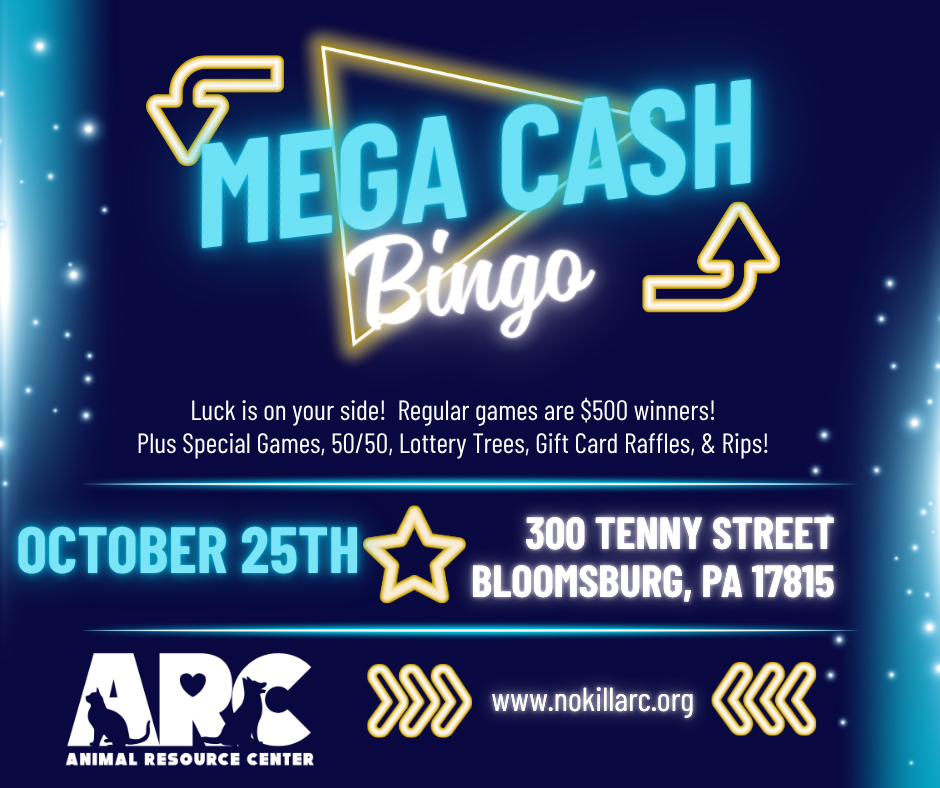 MEGA Cash Bingo image