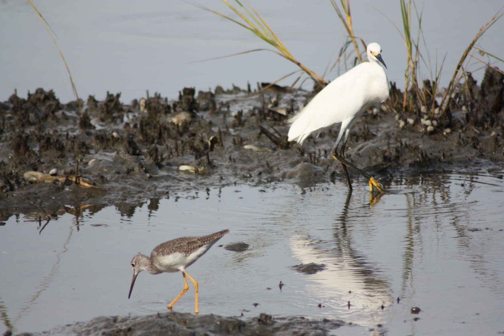 September Bird Walk image