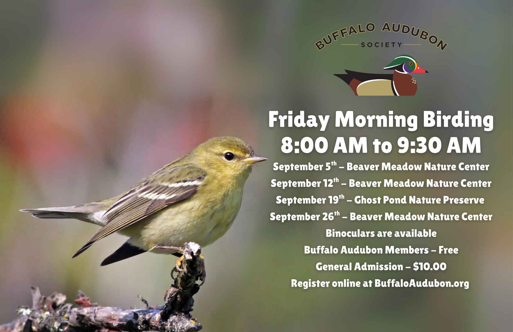 Friday Morning Birding - September 26th image