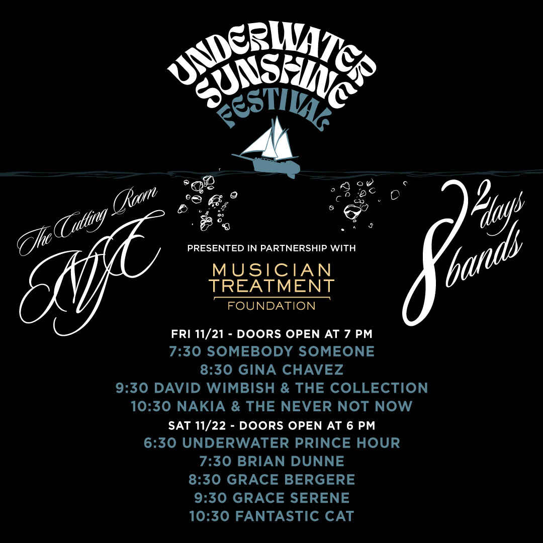 Underwater Sunshine Festival presented with Musician Treatment Foundation image