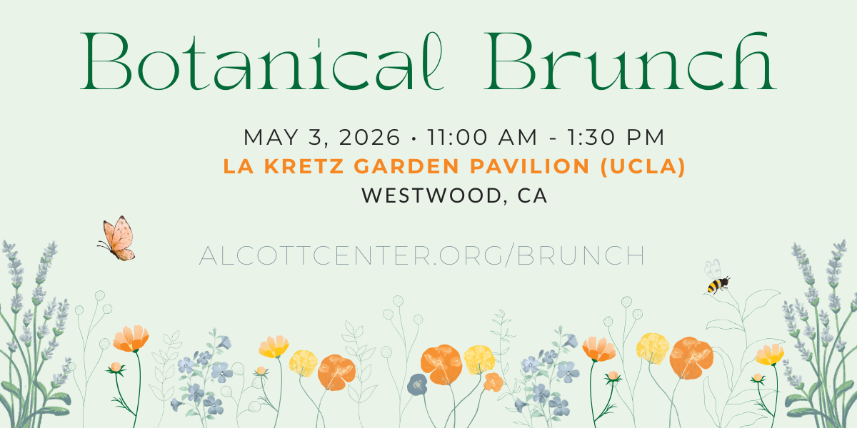 Botanical Brunch  image