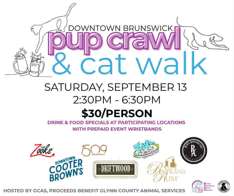 Pup Crawl & Cat Walk image