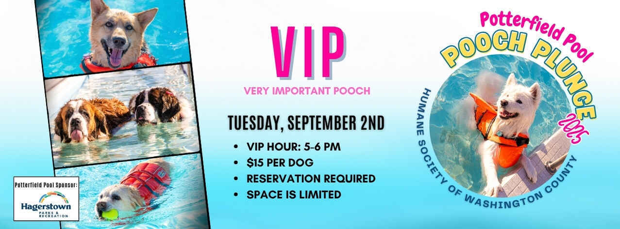 VIP Hour - Potterfield Pool - Pooch Plunge image