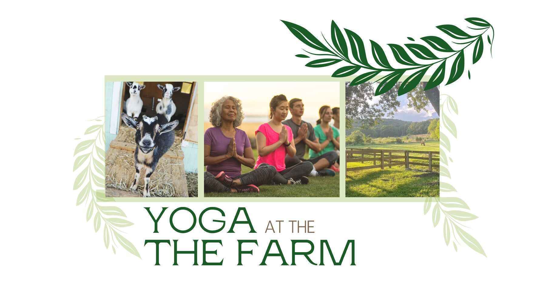 Yoga at the Farm Fall 2025 image