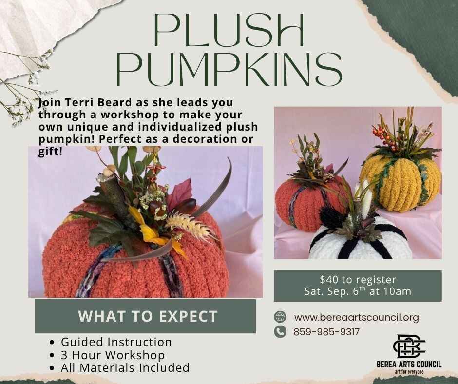 Plush Pumpkin Workshop image
