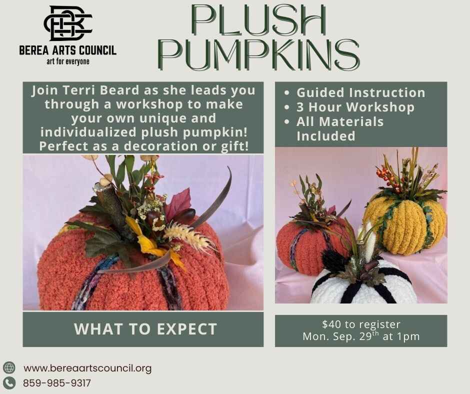 Plush Pumpkin Workshop image