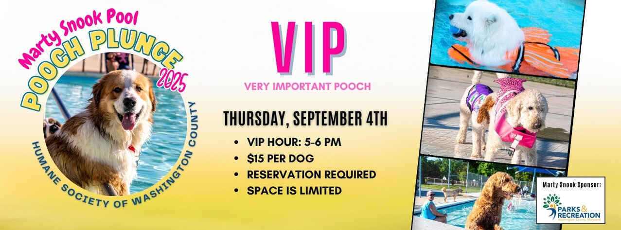 VIP Hour - Marty Snook Pool - Pooch Plunge image