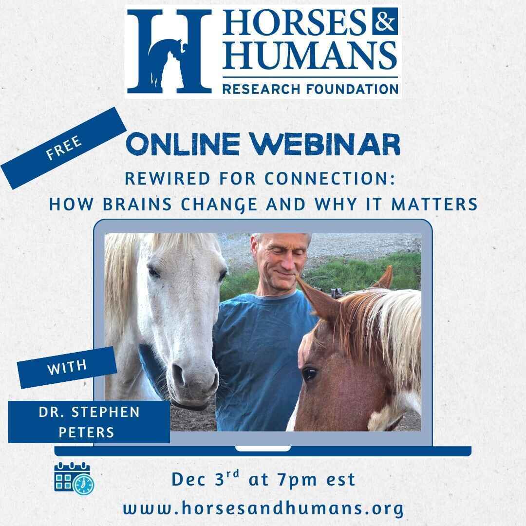 Rewired for Connection: How Brains Change and Why It Matters image