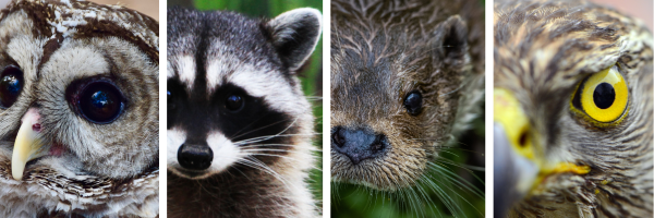 CWRA Fall Meeting 2025 image