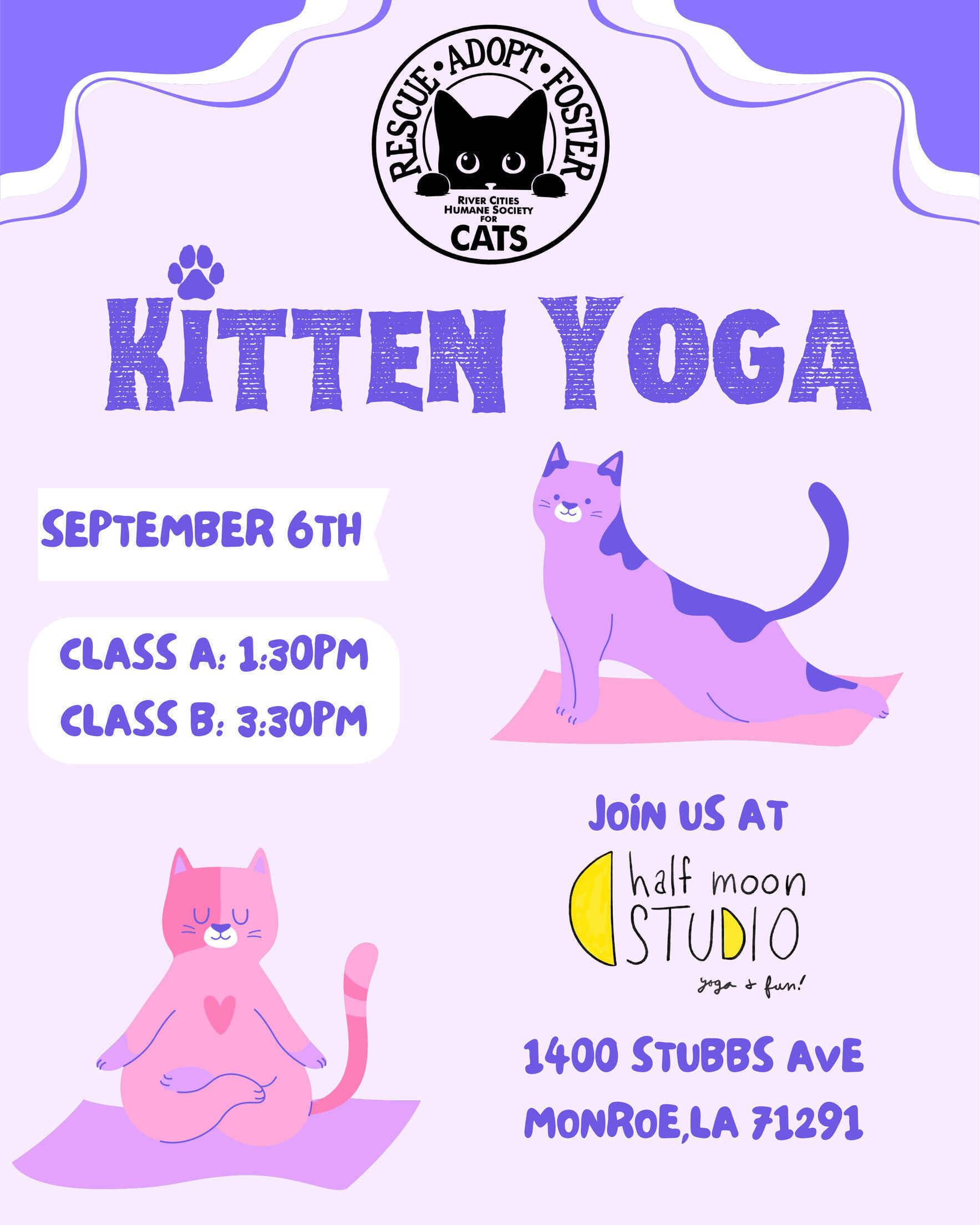 Kitten Yoga at Half Moon Studios🌗 image