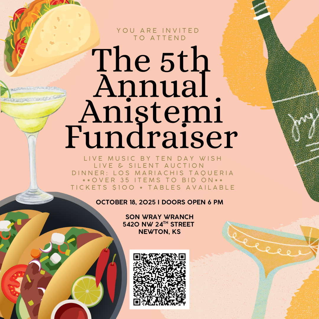 Fifth Annual Anistemi Fundraiser image