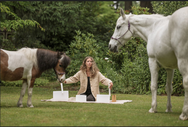 Sound Bath Artistry to Benefit the Sanctuary Horses image