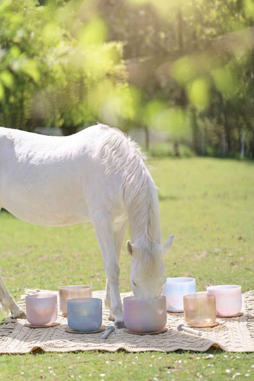Sound Bath Artistry: Musical Energy to Benefit our Sanctuary Horses image