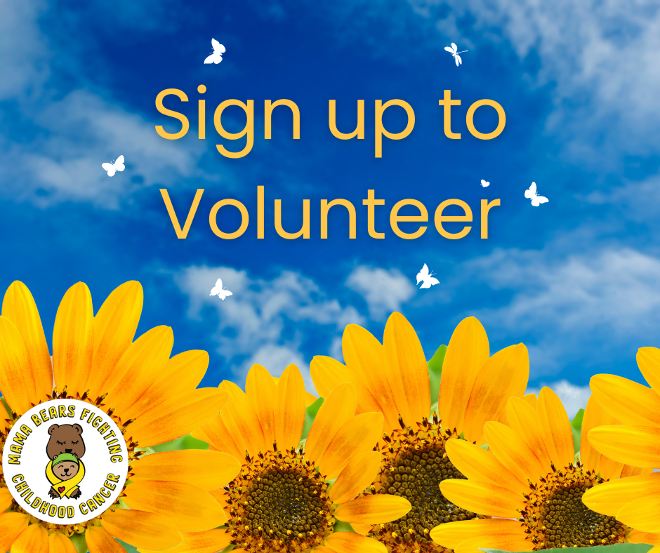 Become a Volunteer image