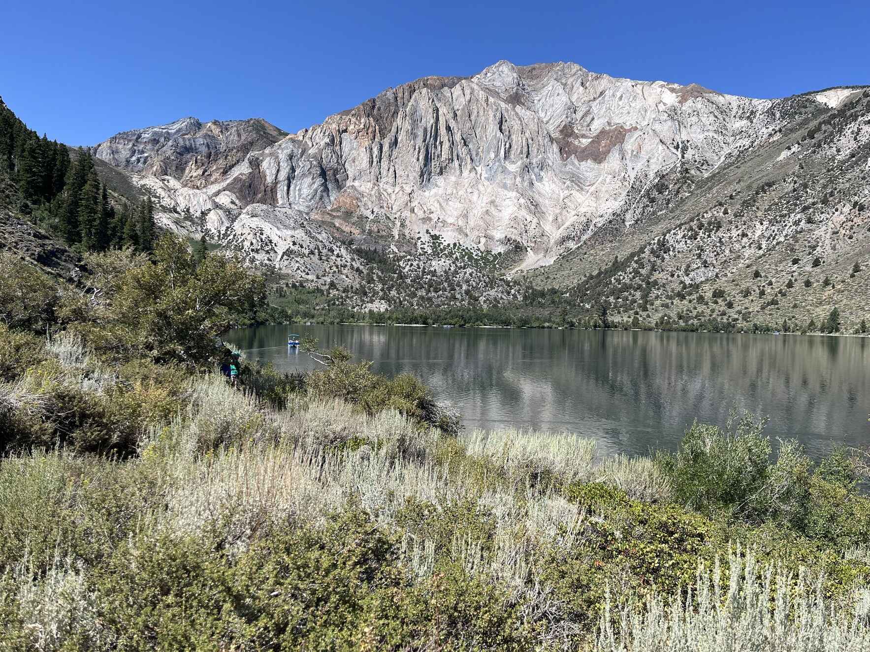Eastern Sierra Nevada Geology Tour (Island Fox Members) image