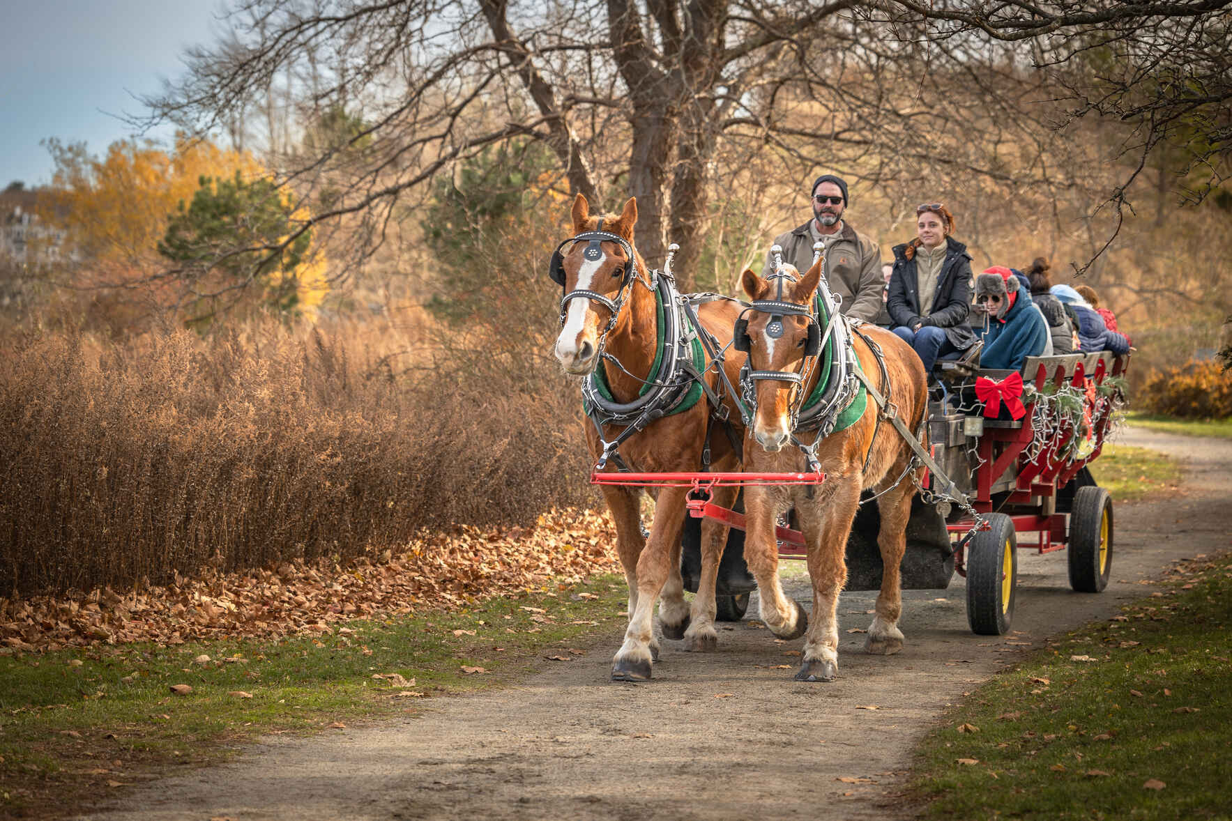 5th Annual Holiday Festival image
