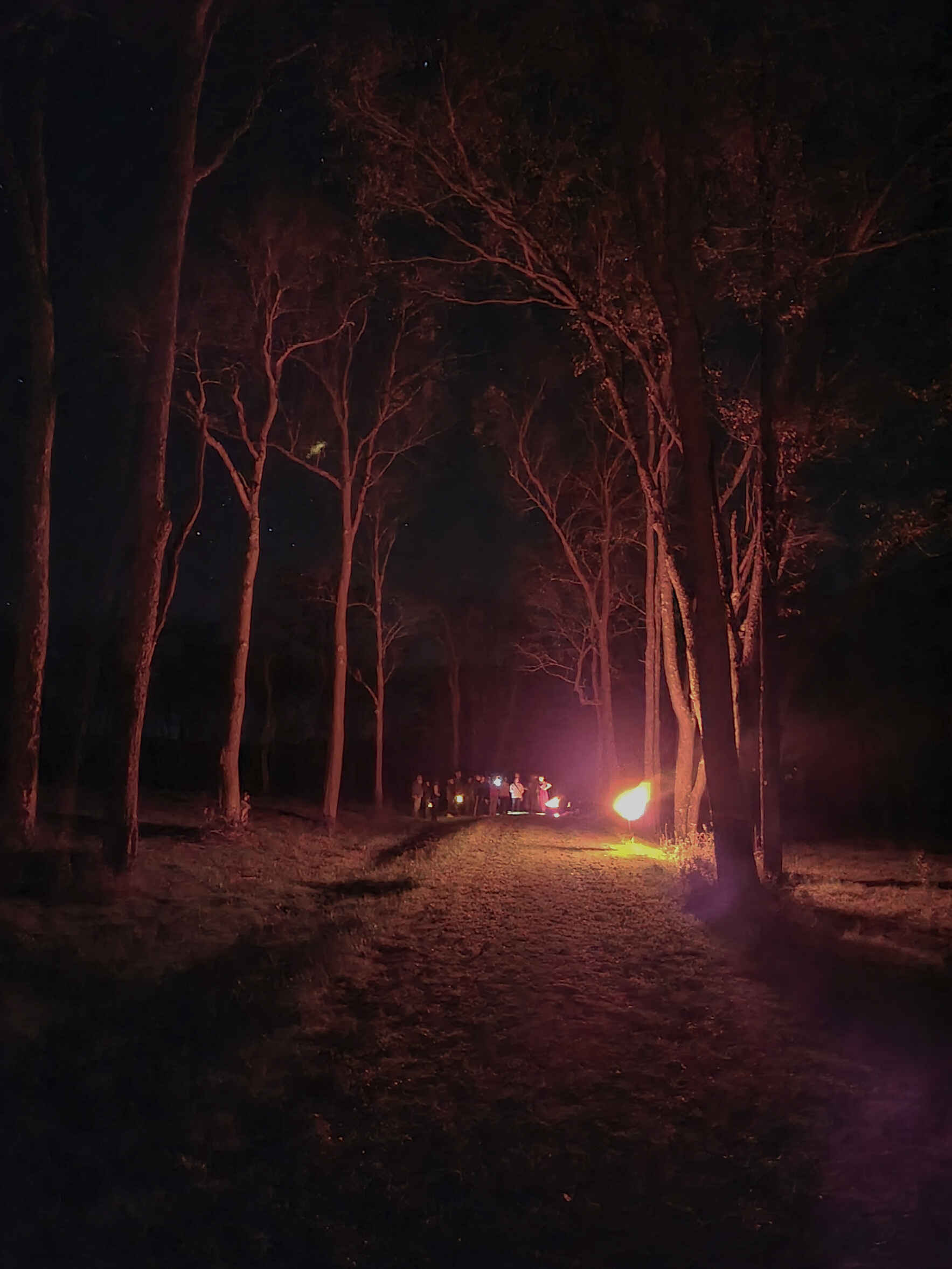 2025 Historic Pithole City Lantern Tours image