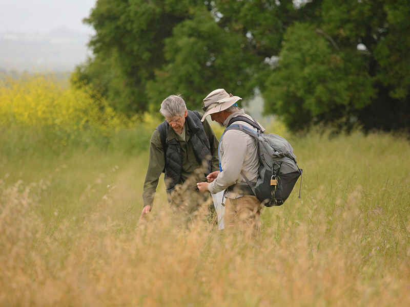 Seed Collection and Birding Event at the San Marcos Foothills image