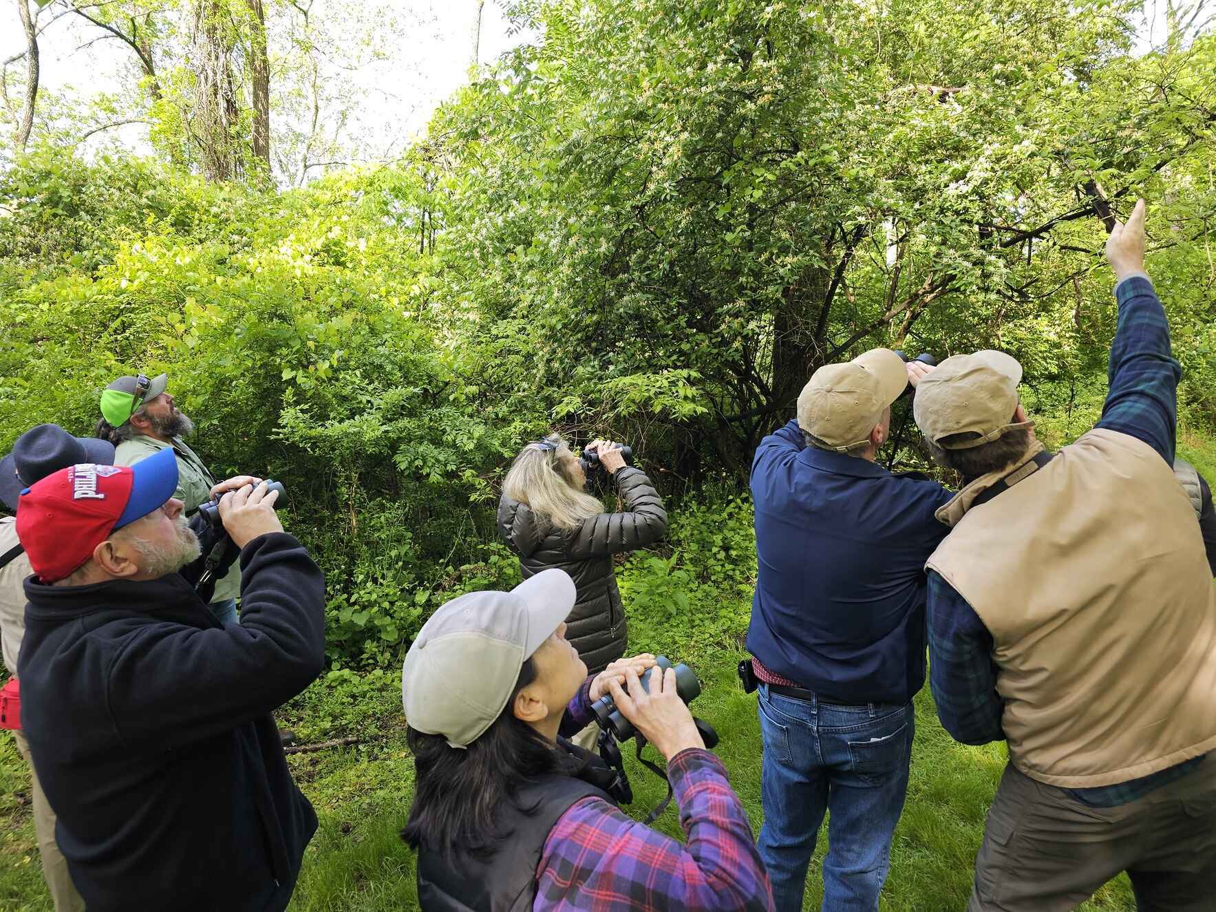 Fall Bird Walk on World Migratory Bird Day image