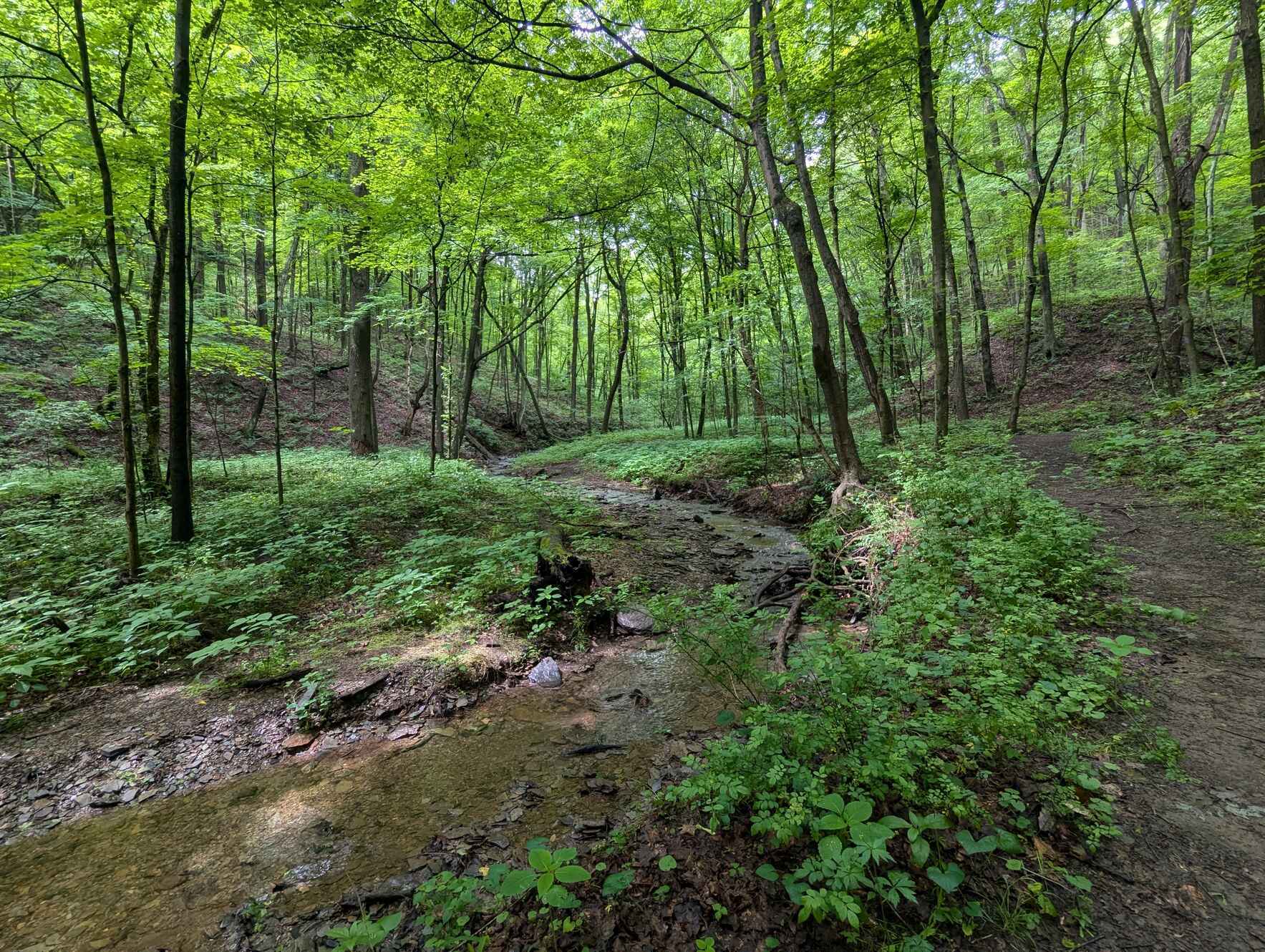 March Virtual Volunteer Meetup image