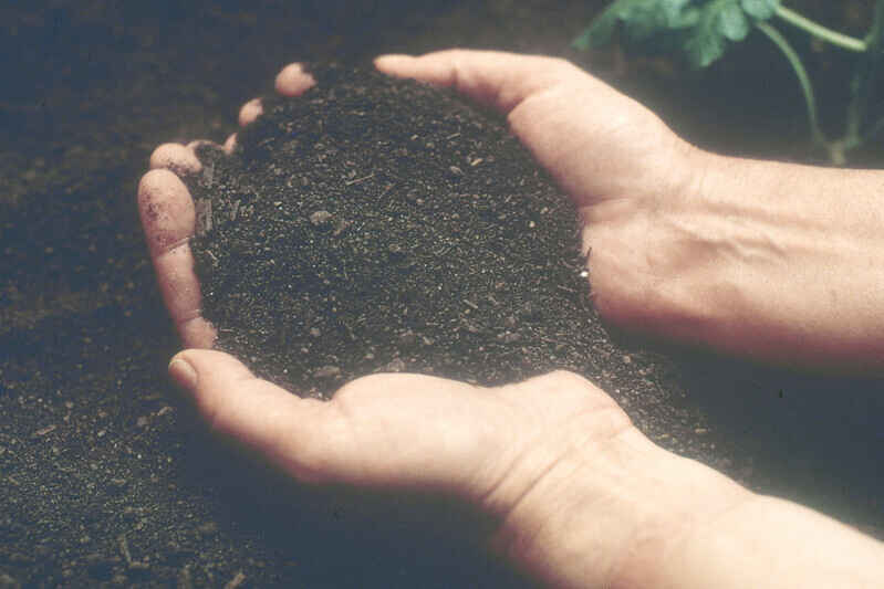 Composting for Beginners image