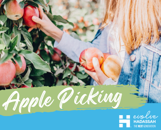 Mid-Atlantic: GP: Wilmington-Evolve - Apple Picking - 2025 image