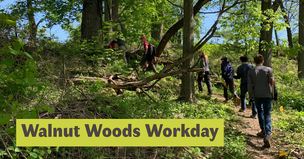 Walnut Woods Workday - October 25, 2025 image