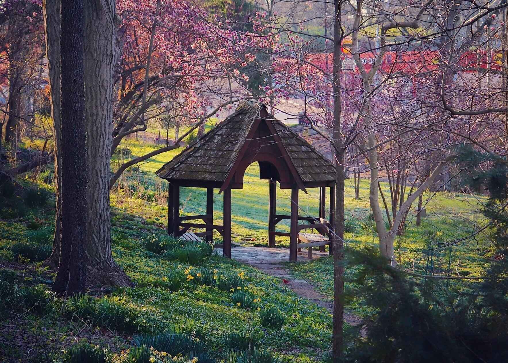 Volunteer for In the Garden: Native Sounds & Landscapes image