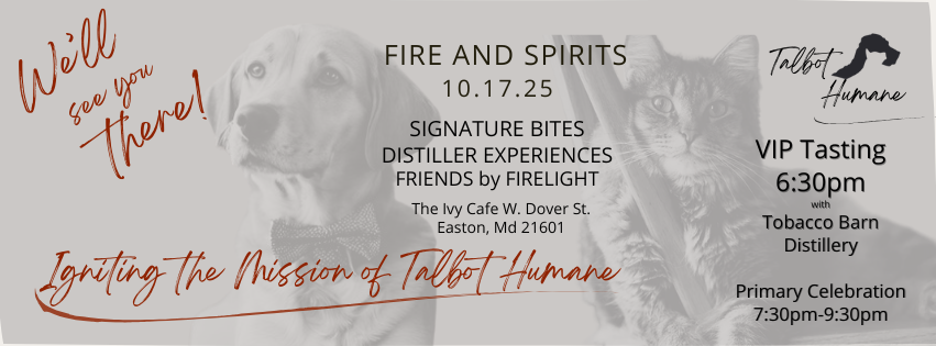 Fire & Spirits- Igniting the Mission of Talbot Humane image