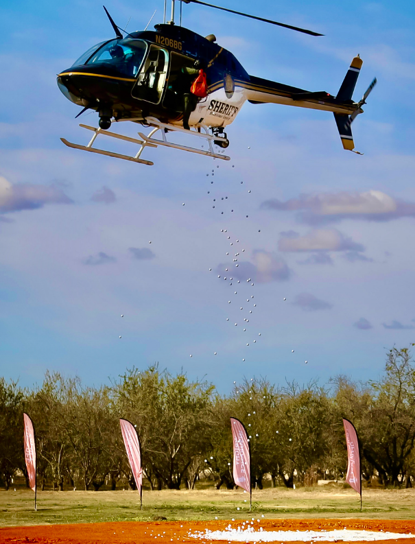 Ball Drop for Hope 2025 - Sponsors Only image