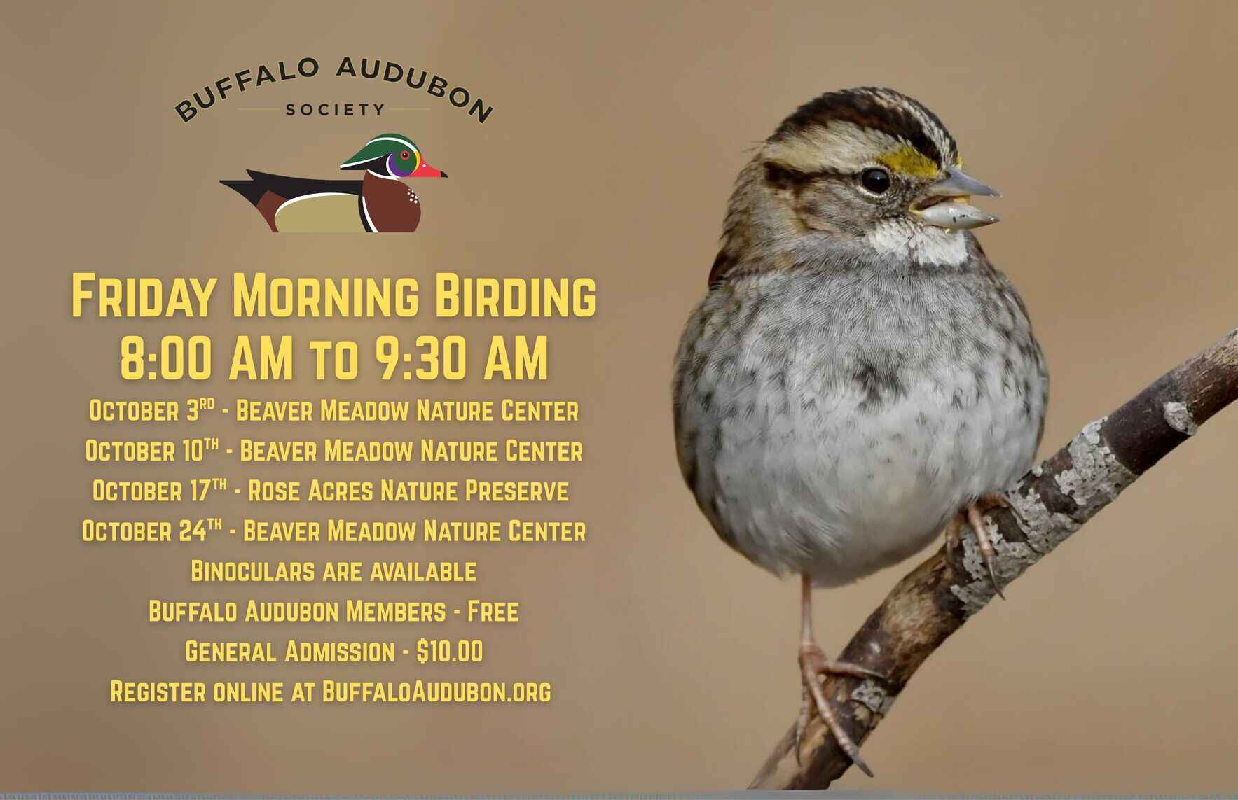 Friday Morning Birding - October 24th image