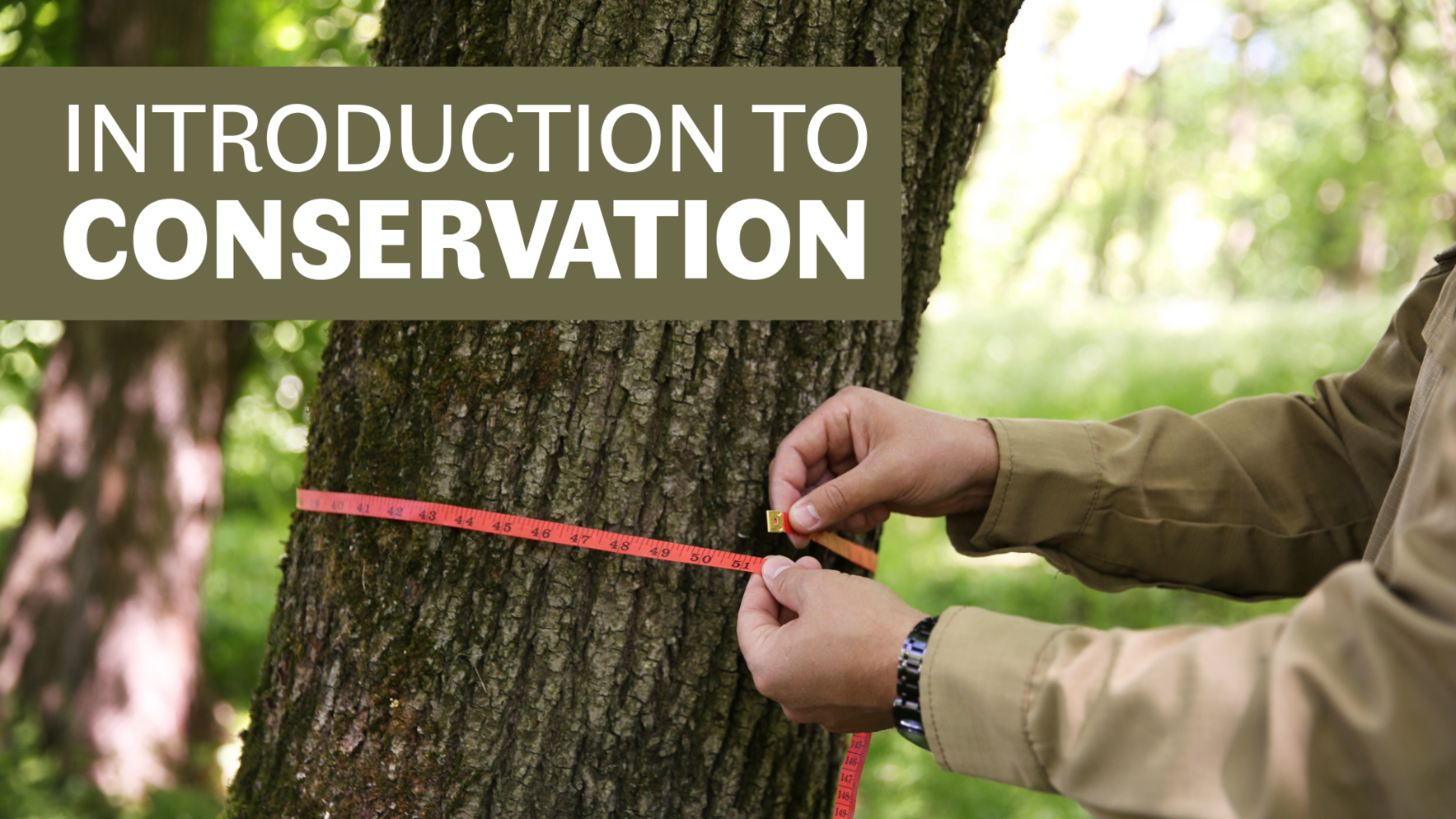 Introduction to Conservation image