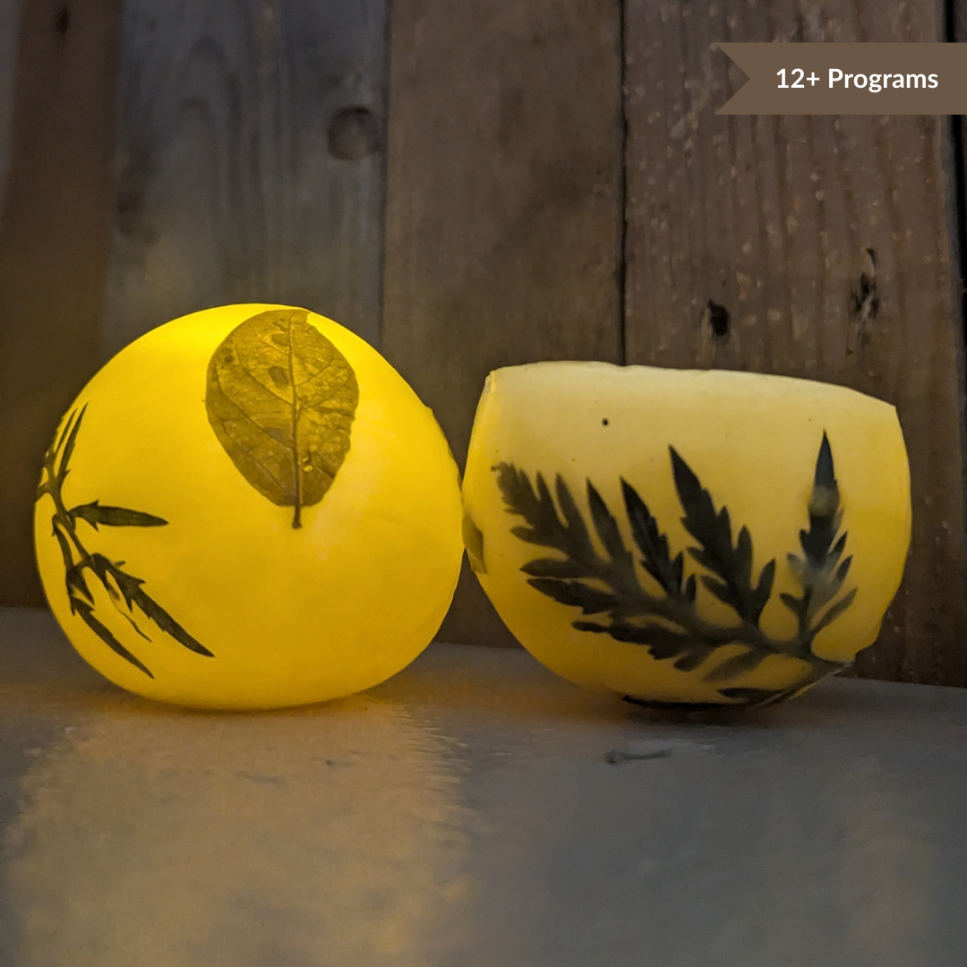 '25 Beeswax Leaf Luminaries & Nature Walk image