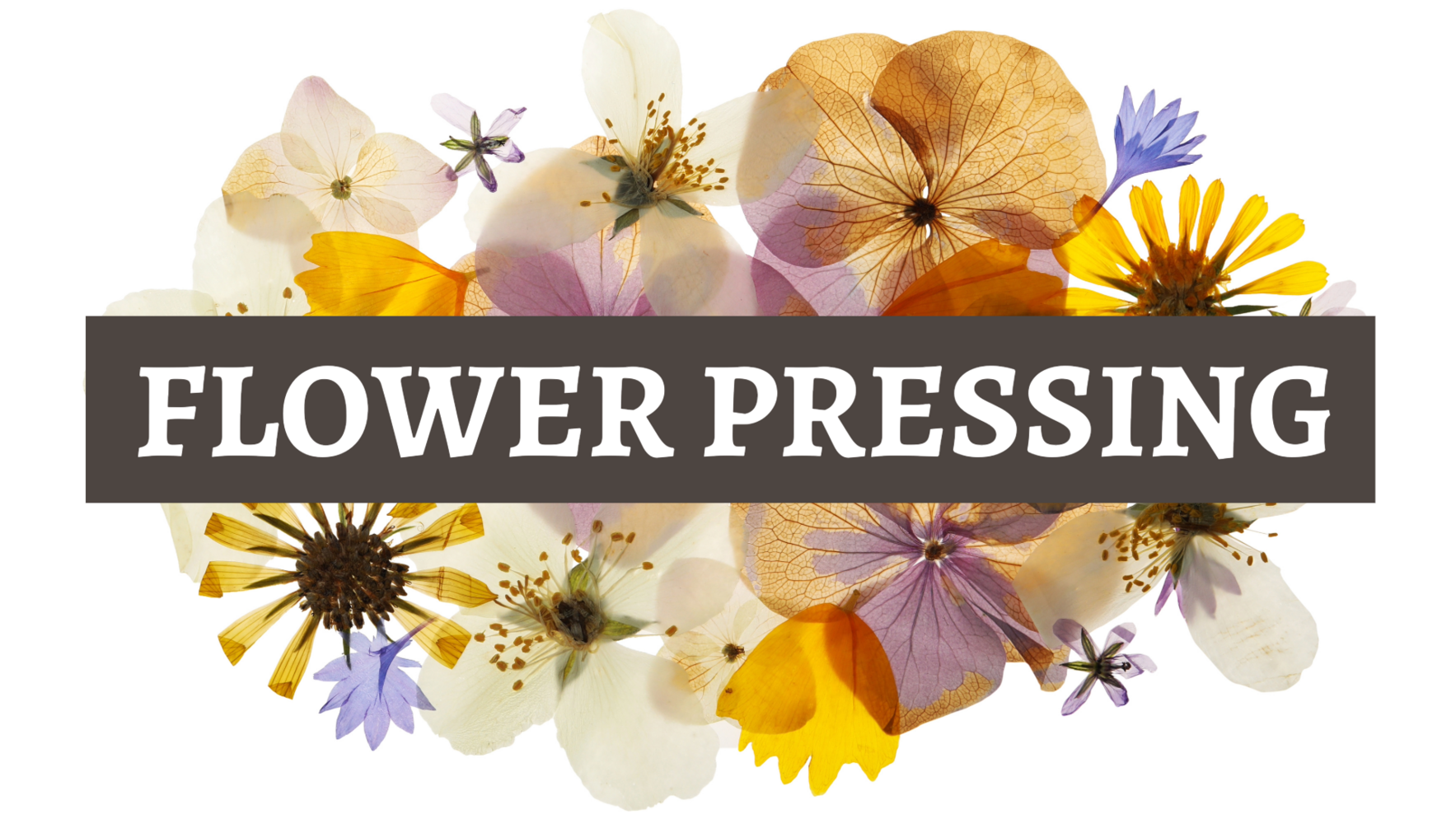 Flower Pressing image