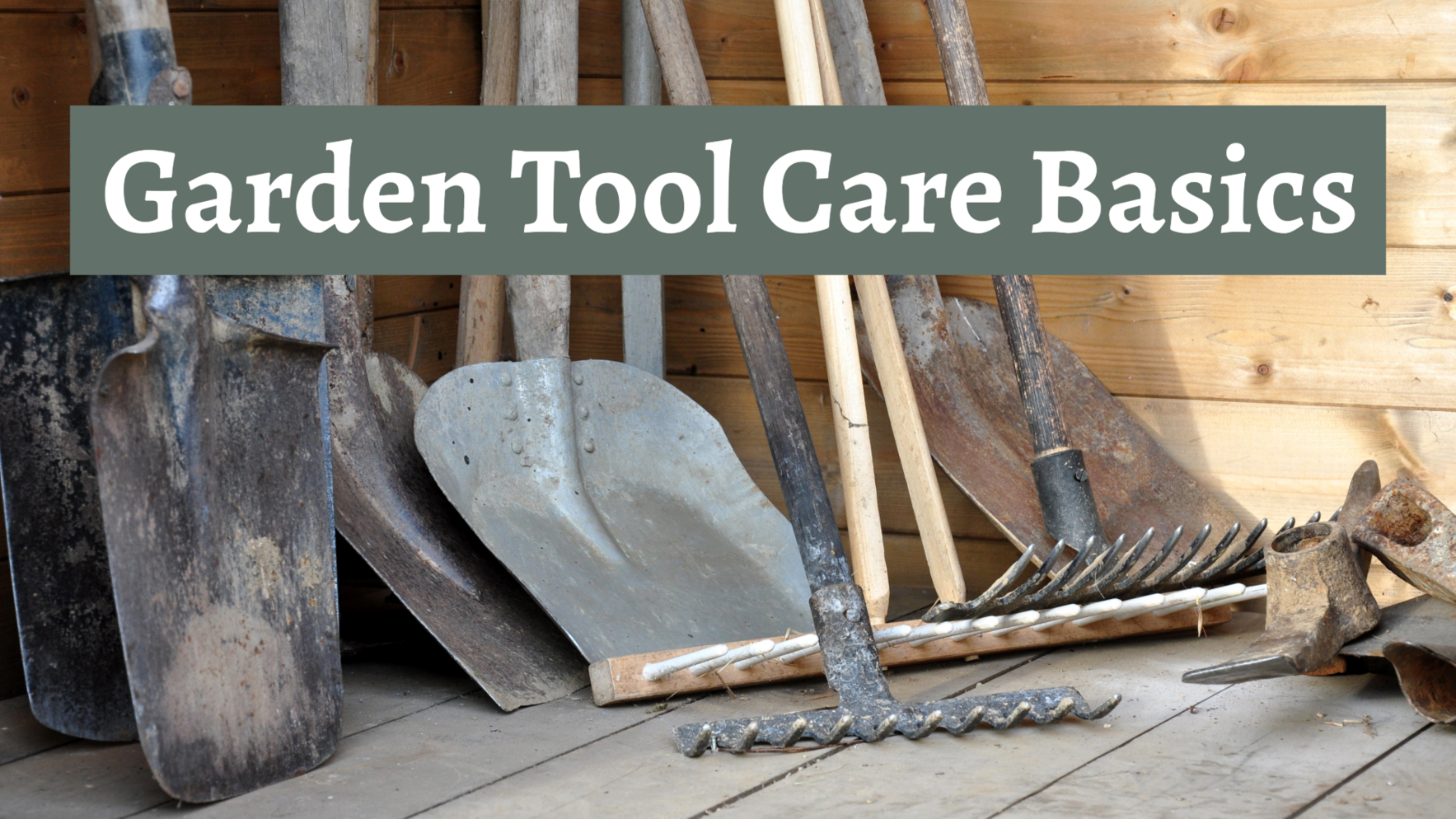 Garden Tool Care Basics image