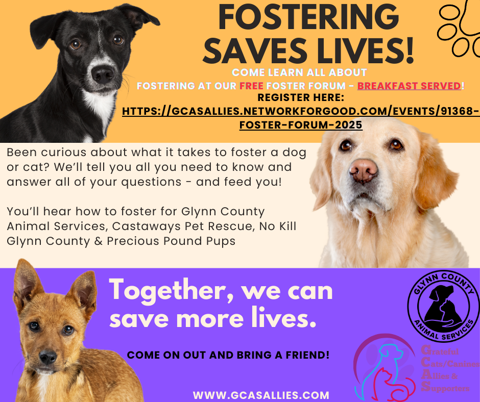 Foster Forum 2025 image