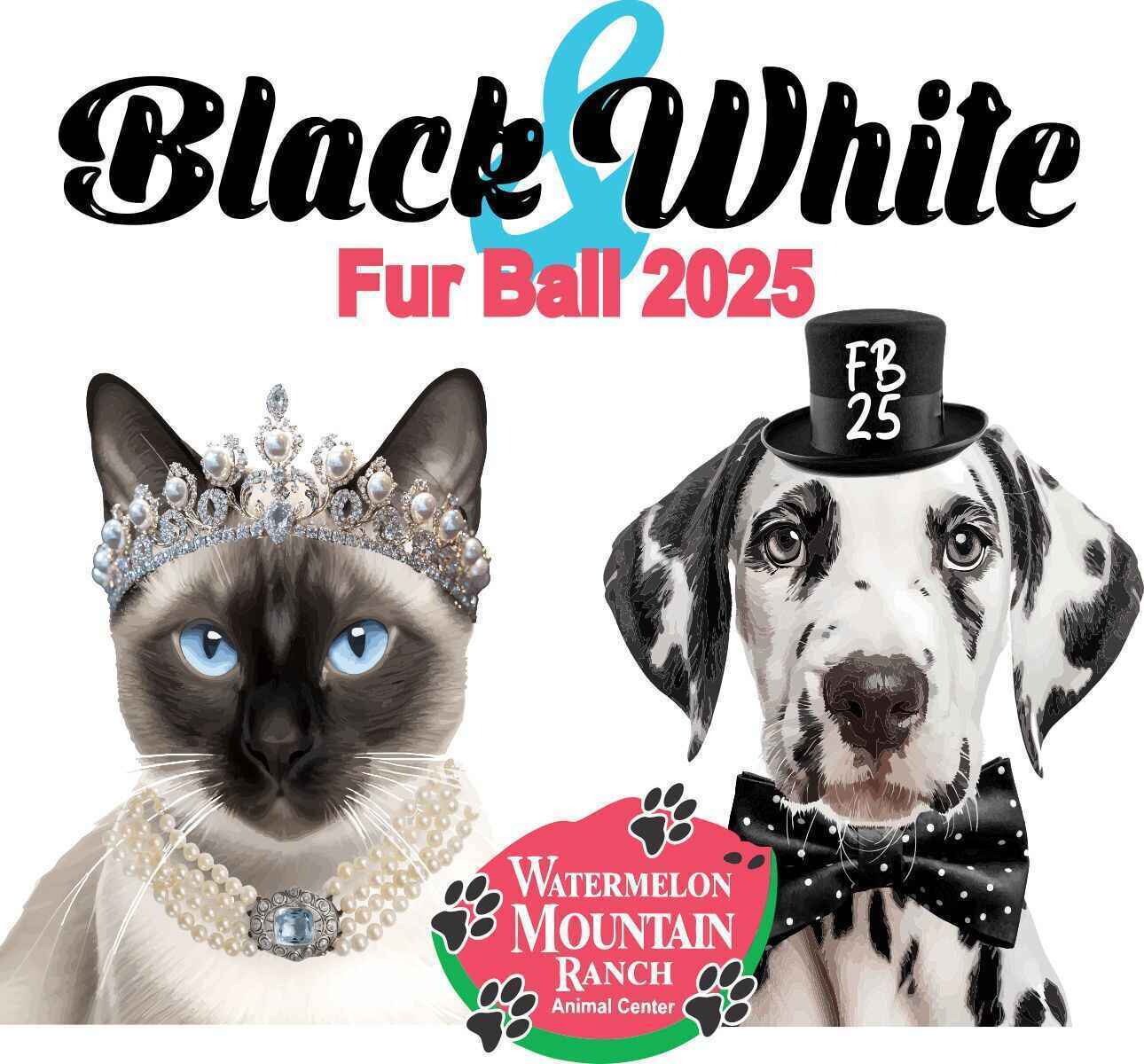 2025 Fur Ball image