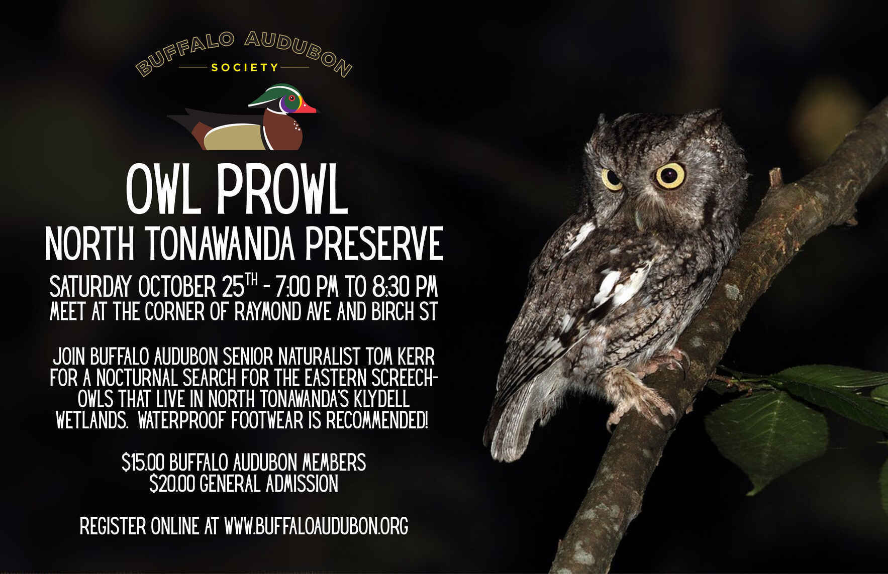 North Tonawanda Owl Prowl image