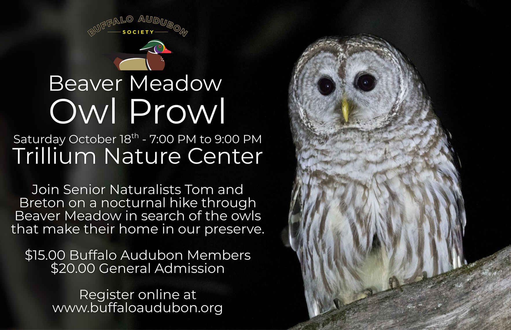 Beaver Meadow Owl Prowl image