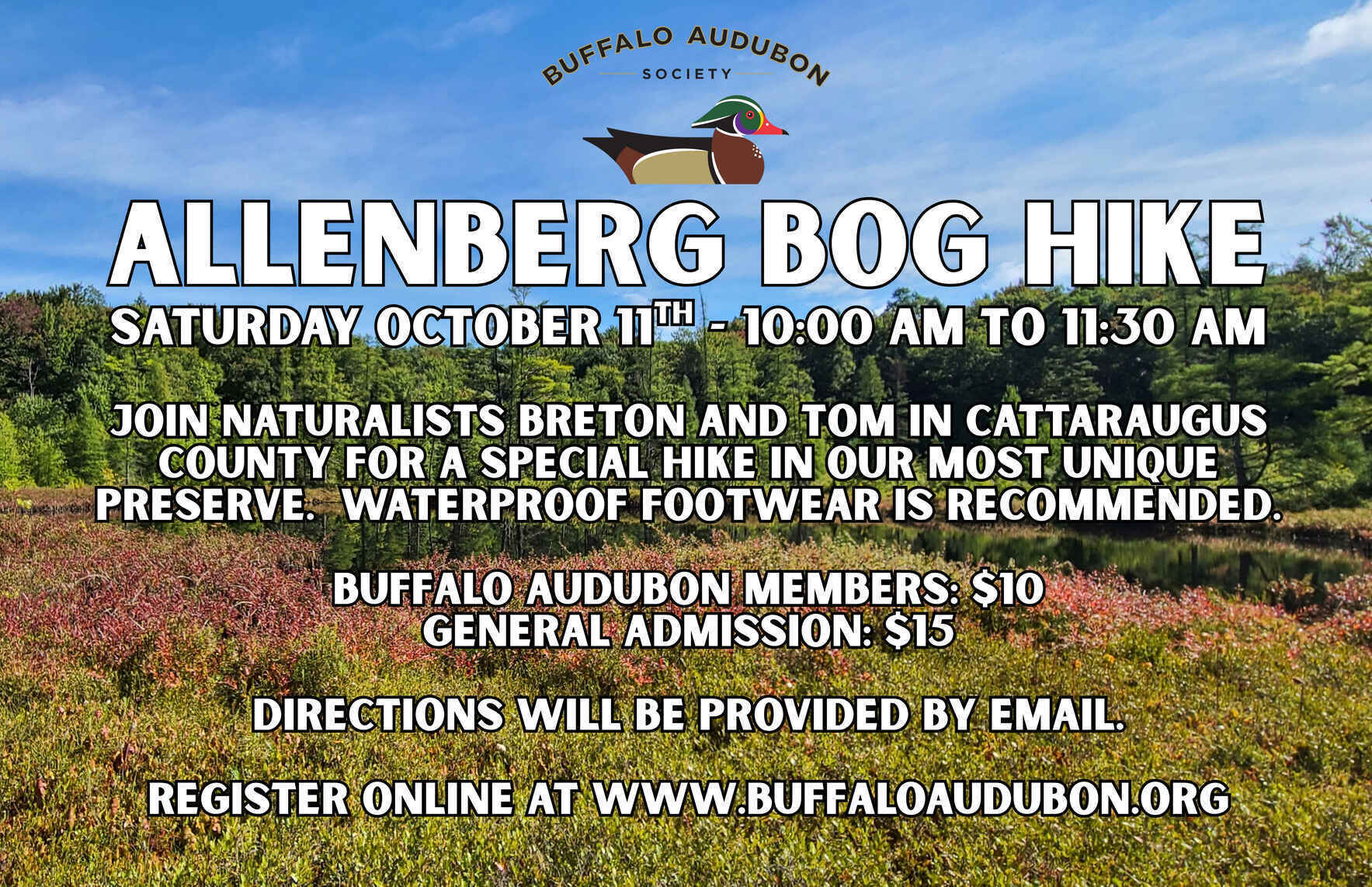 Allenberg Bog Hike image