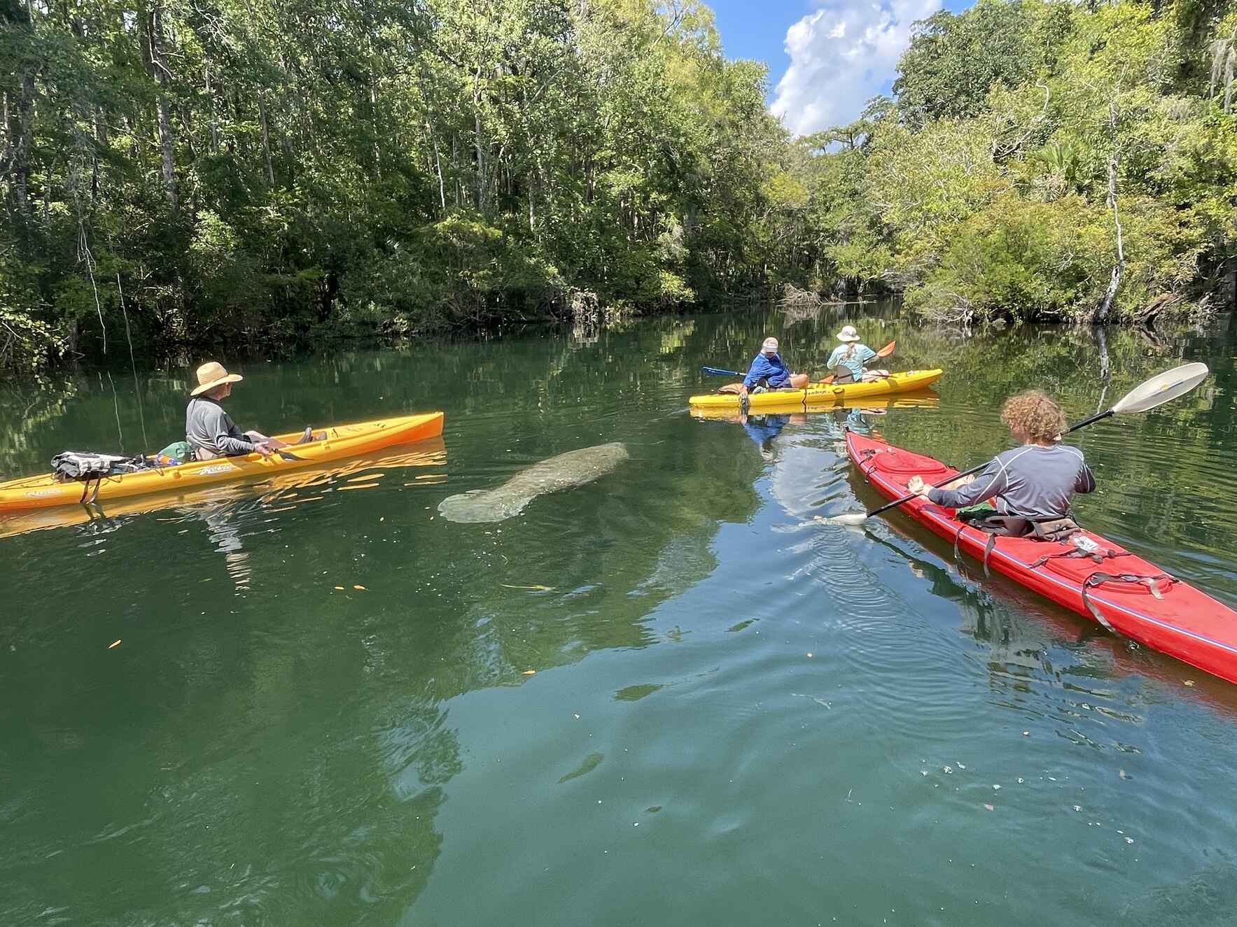Secrets of the Wakulla image