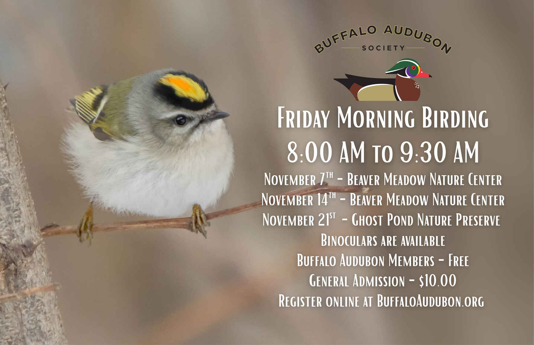 Friday Morning Birding - November 14th image