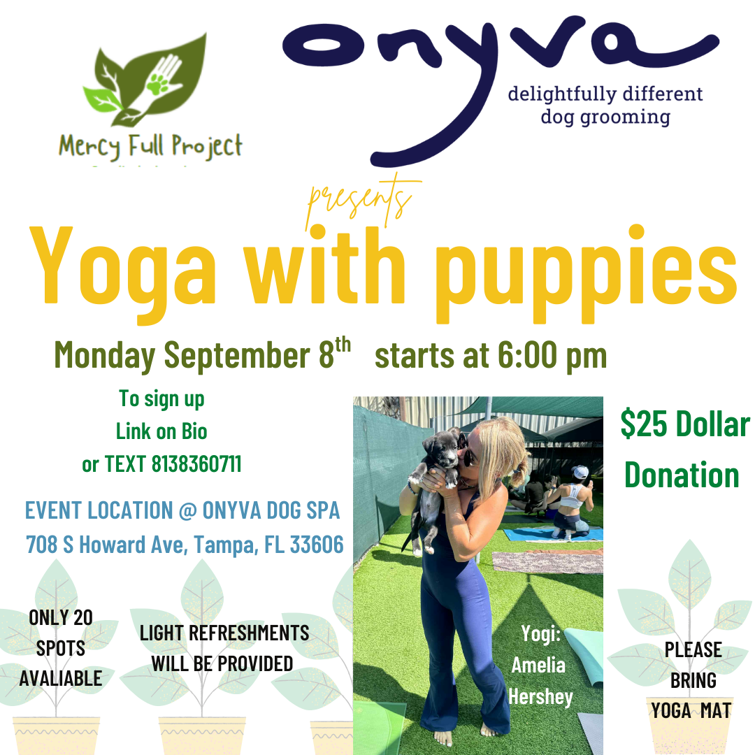 Puppy Yoga at ONYVA  image
