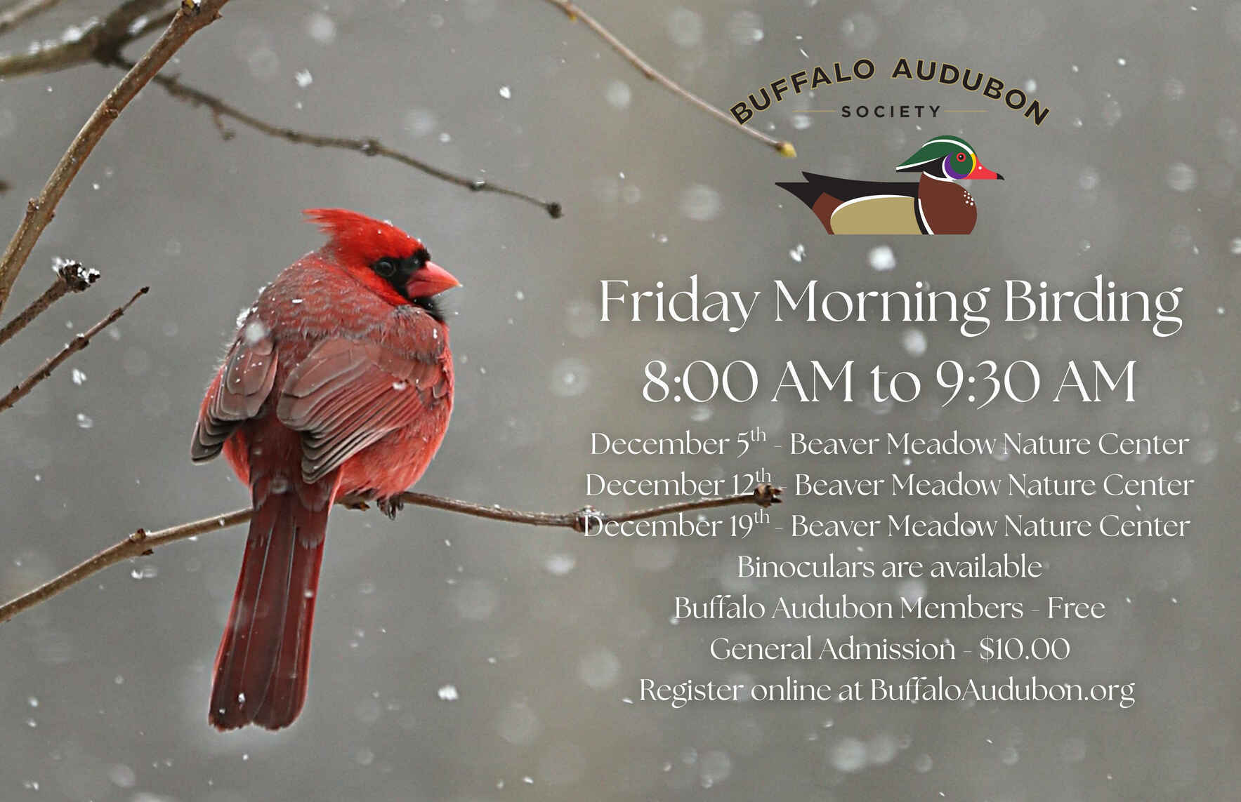 Friday Morning Birding - December 19th image