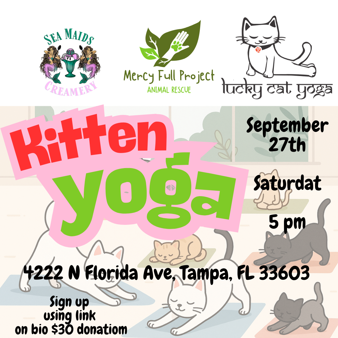 Purring, Rolling  & Stretching Cat yoga image