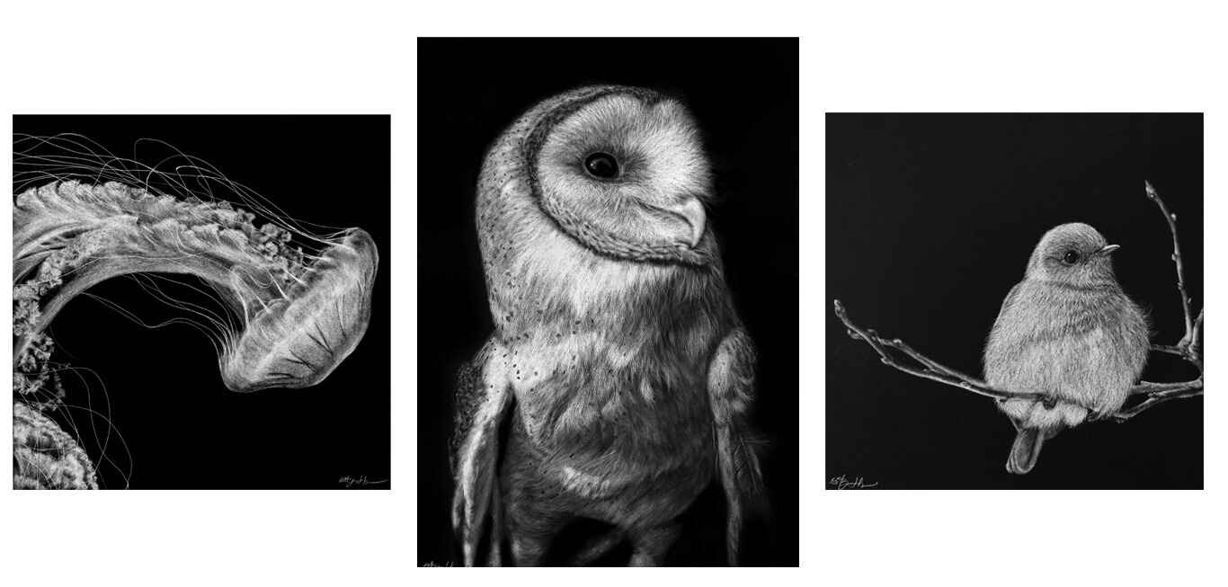 2025-A4 - Beginner's Scratchboard Masterclass with Brittany "BeeJay" Johnson  image
