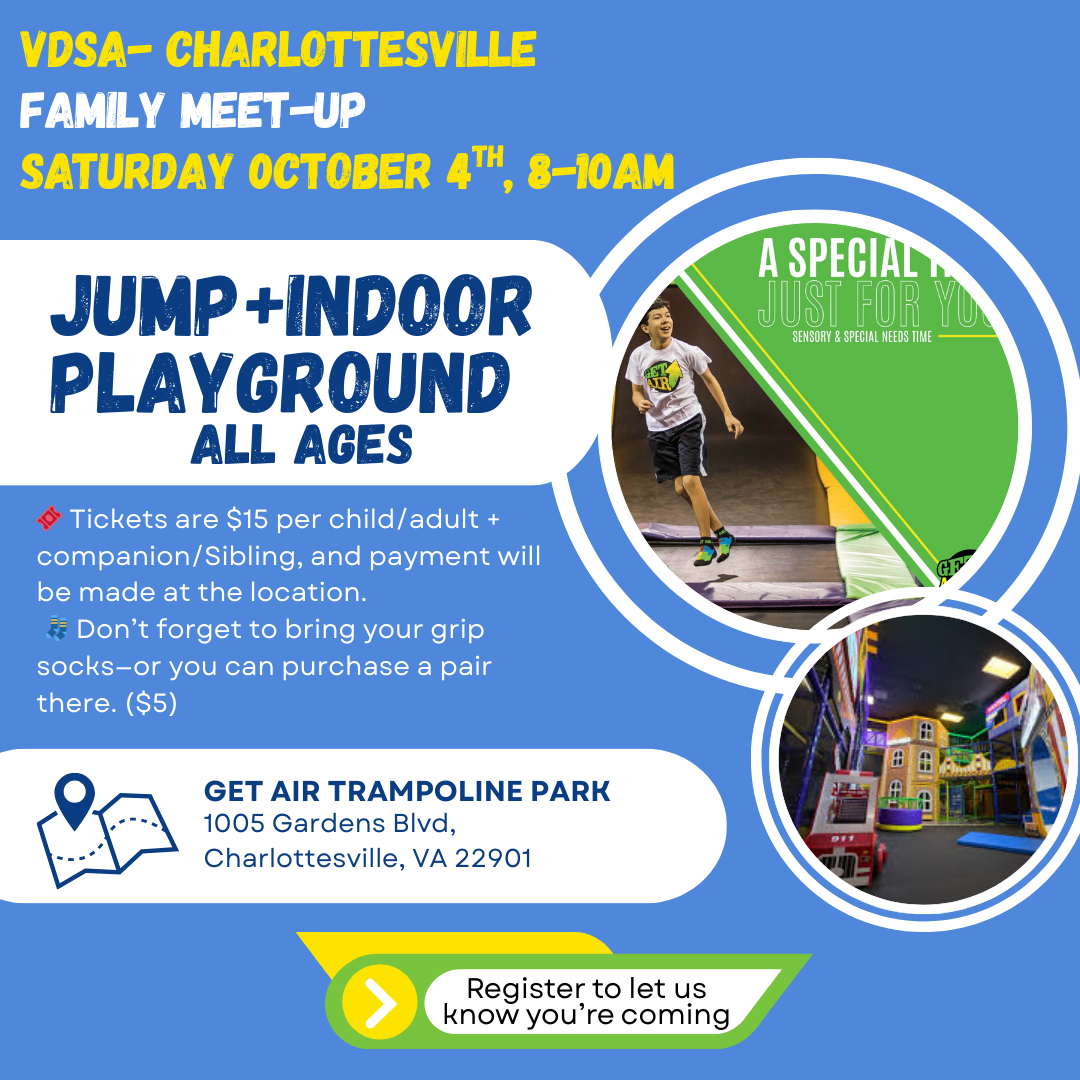 VDSA - Charlottesville Family Meet-up image