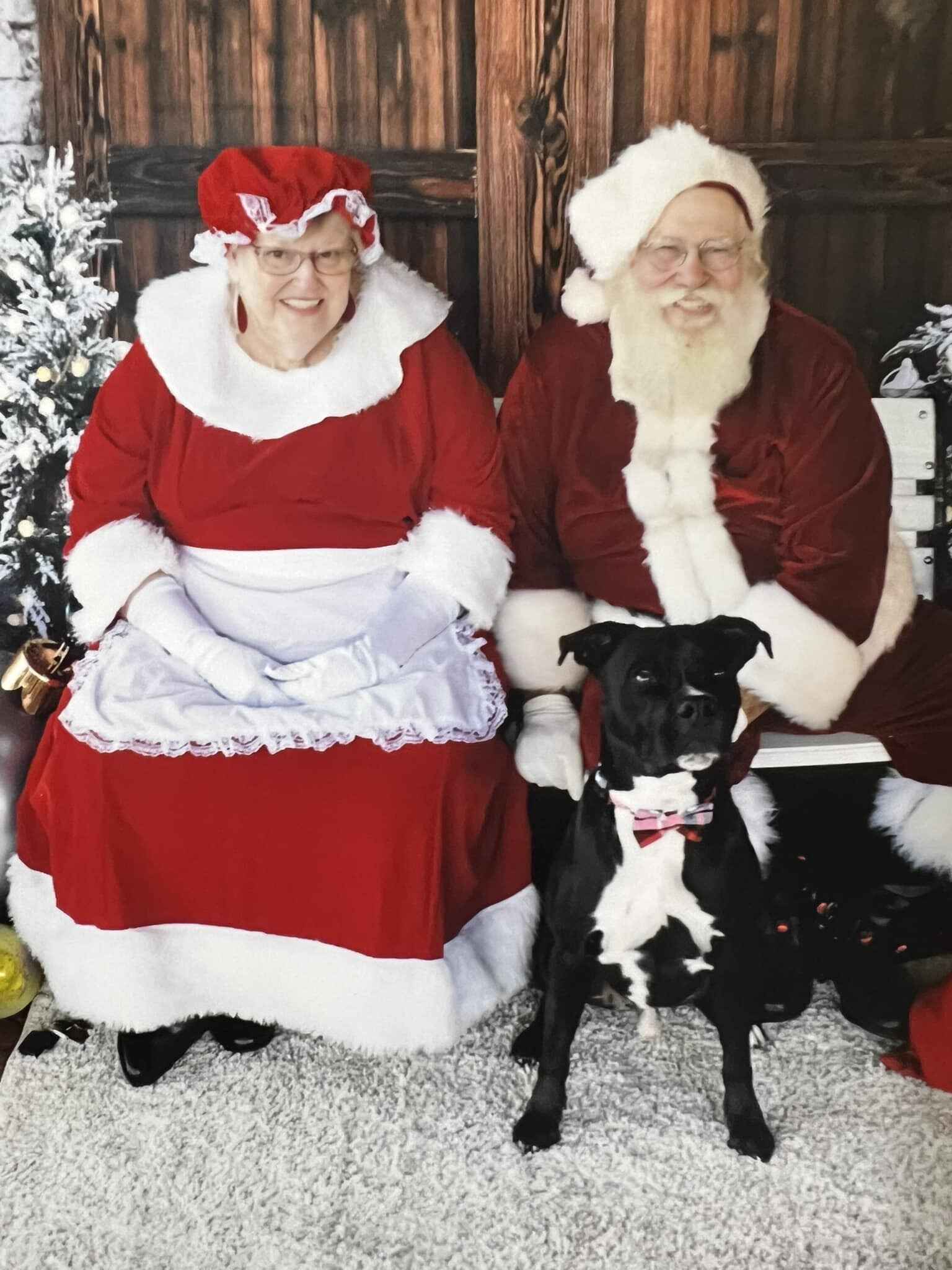 Photos with Santa image
