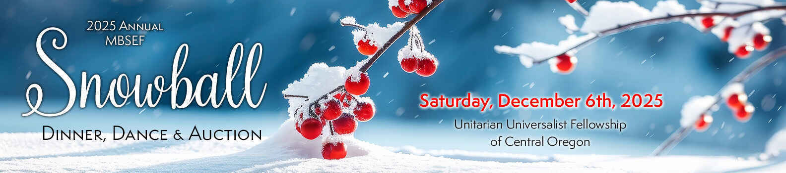 2025 Snowball Dinner, Dance & Auction image